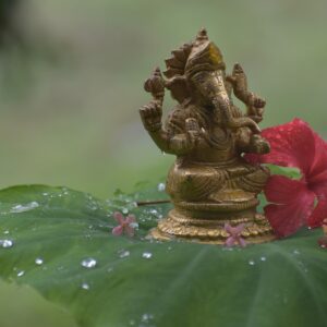 ganesh murthi