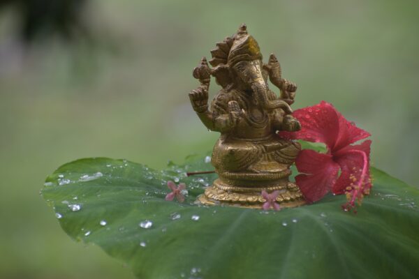 ganesh murthi